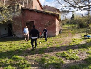 laboratorio_04_2025_4